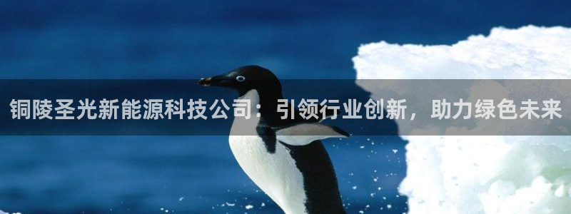 sunbet手机app版
