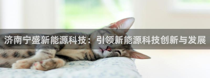 sunbet官网手机版