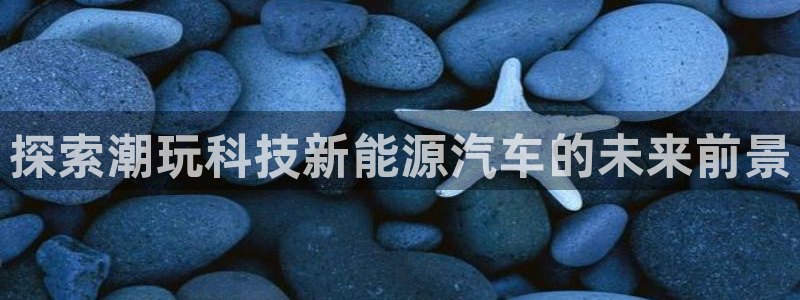 sunbet手机网页版本