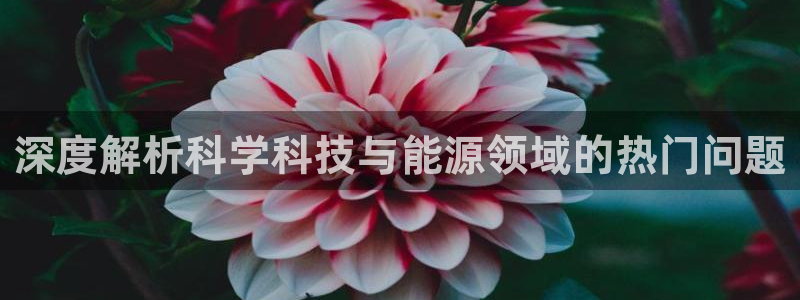 申慱sunbet手机版登