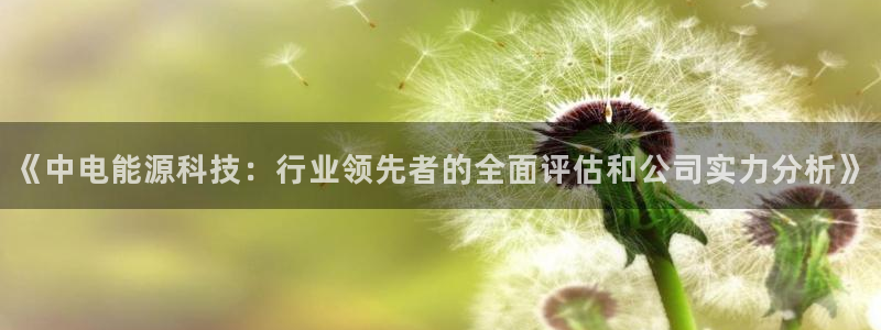 申博官方网站手机版下载