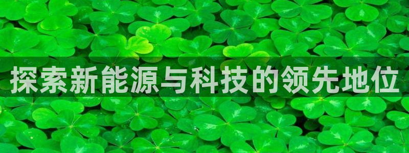sunbet程序