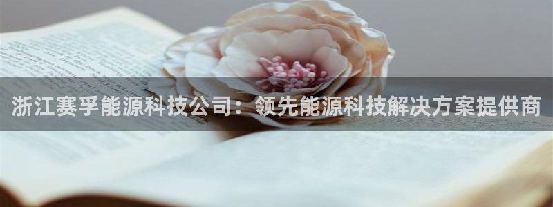 sunbet手机网页版本