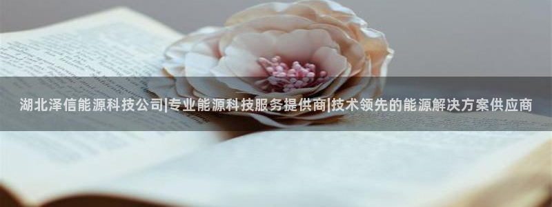 申博手机版官网