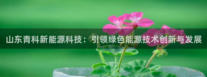 sunbet官网开户登录手机版