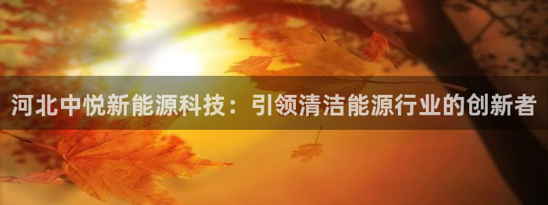 sunbet程序