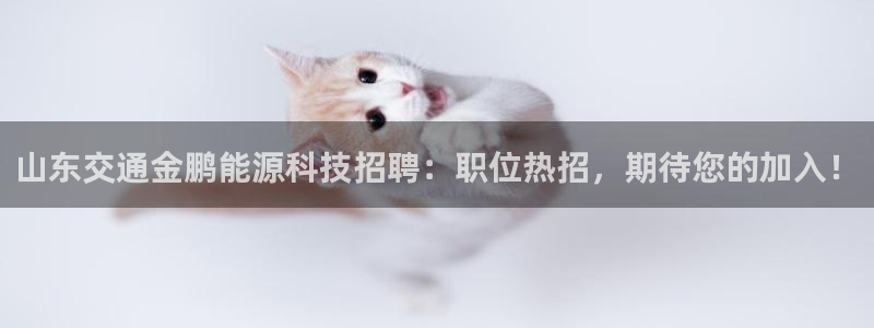 sunbet首页登录入口