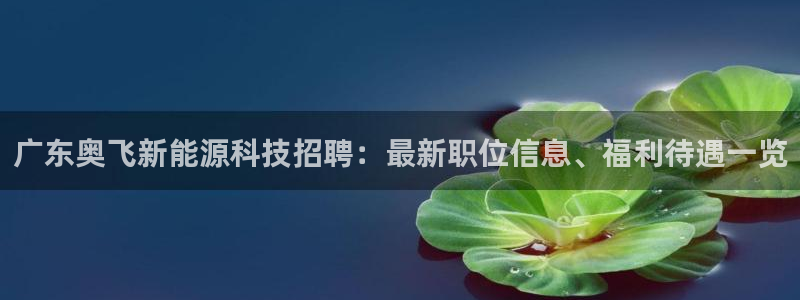 sunbet官网手机版登录