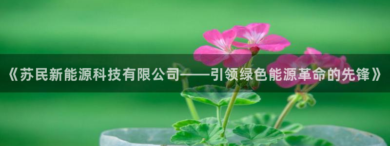 sunbet官网手机版