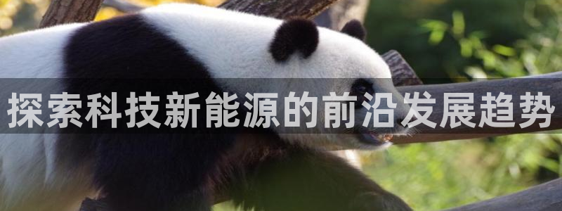 申博手机版官网