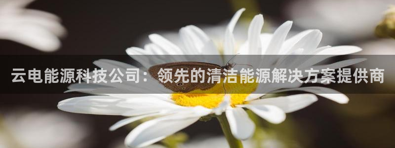 sunbet申搏app下载