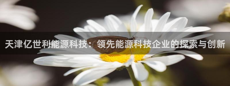申博视讯