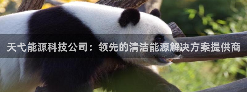 sunbet官网开户登录手机版