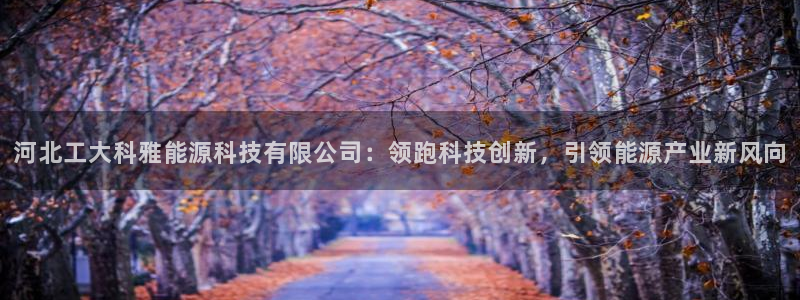 sunbet手机版官网下载