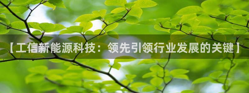 下载申搏sunbet并安装app