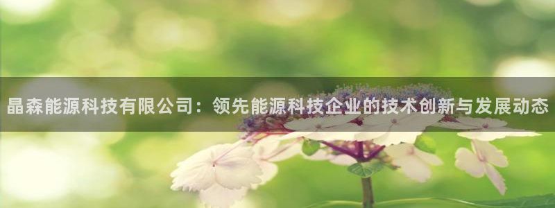 sunbet官网手机版登录