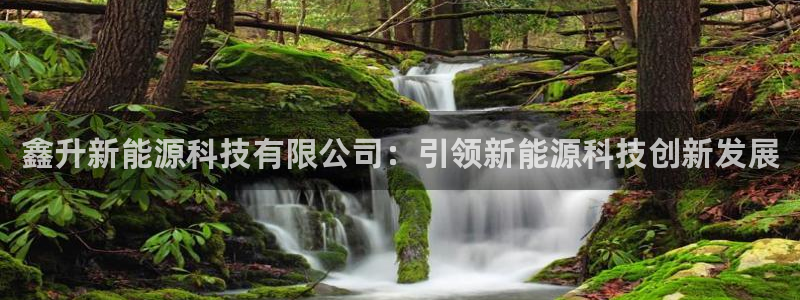 sunbet手机端