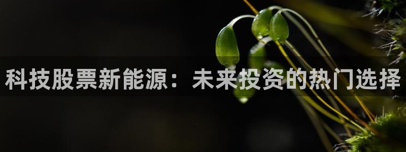 sunbet苹果官网下载