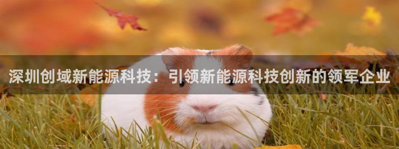 sunbet手机网页版本