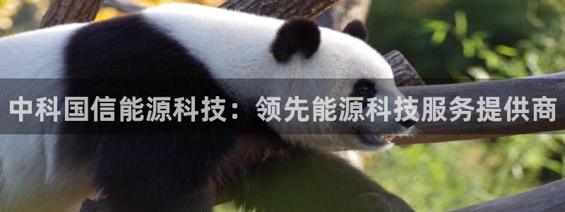 sunbet官网登录首页