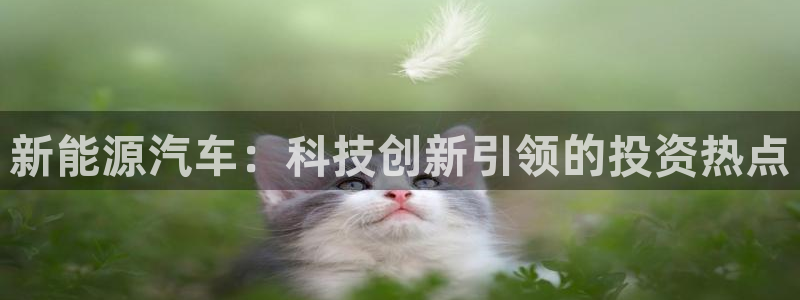 sunbet官网代理下载