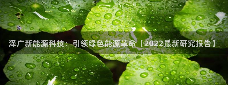 sunbet燃气灶