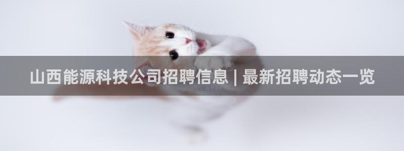 sunbet手机app版