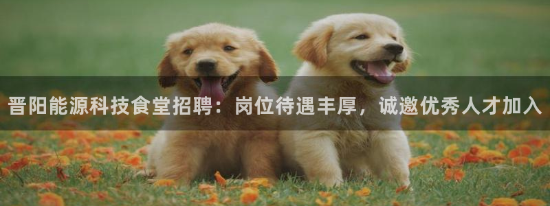 申博手机版app下载
