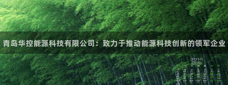 sunbet最新登陆