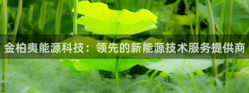 sunbet源码
