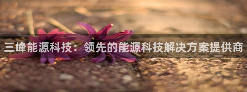 sunbet申搏地址