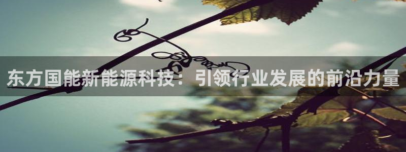 sunbething怎么读