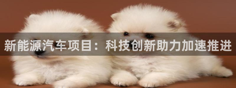 sunbet官网登录首页