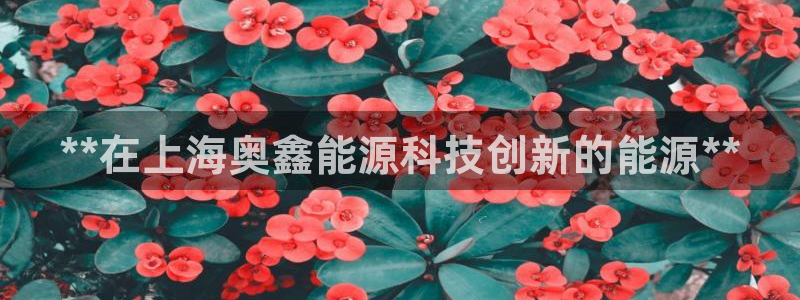 sunbet手机网页版