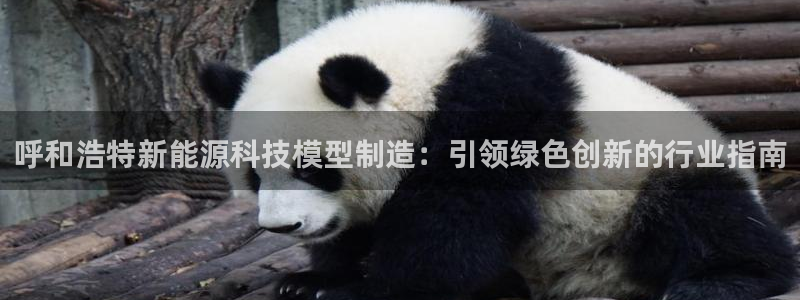 sunbet申搏app下载