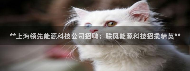 申博手机版官网
