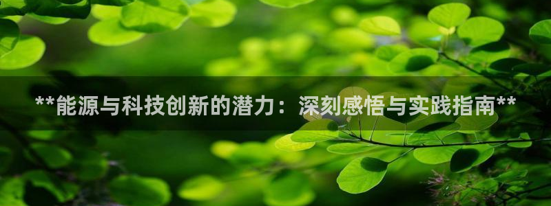 sunbet首页登录入口