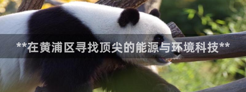 申博视讯