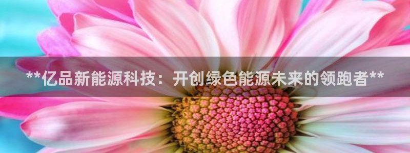 申博手机版官网