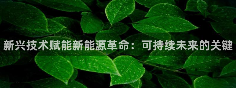 sunbet中文