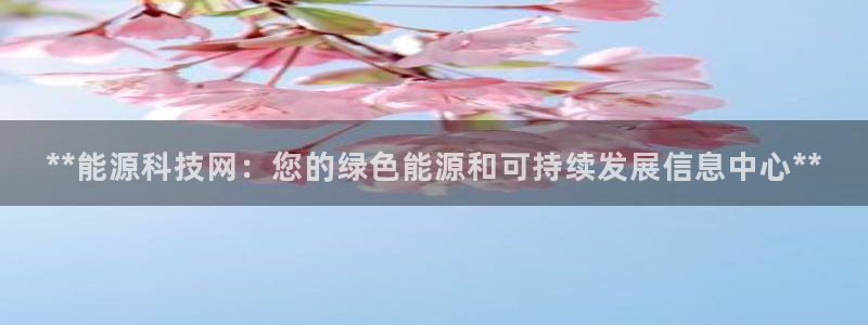 sunbet手机版官网下载
