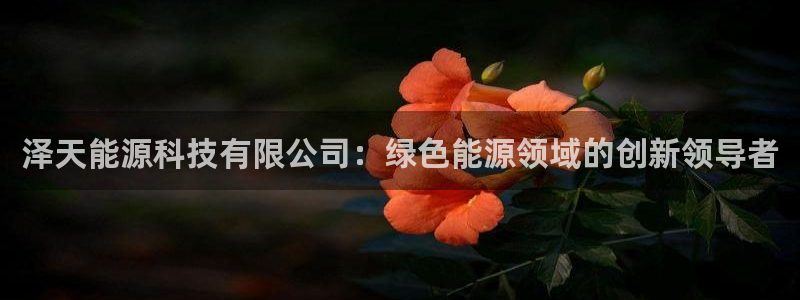 sunbet手机版官网下载