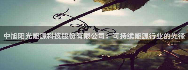 sunbet手机网页版下载