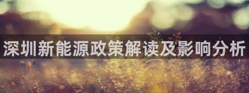 sunbet源码