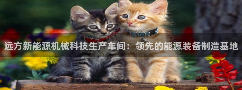 sunbet官网代理下载