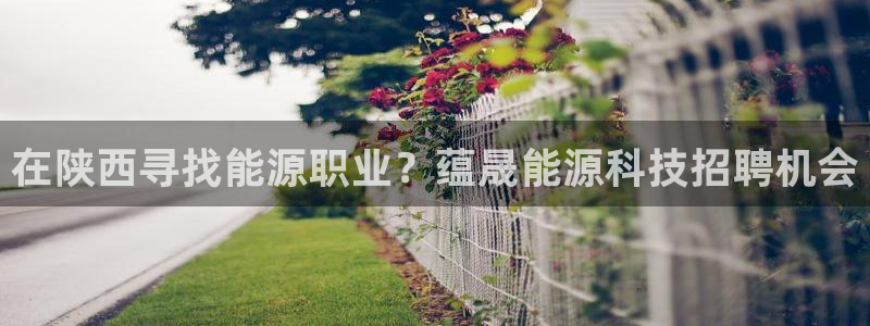 sunbet官网手机版登录