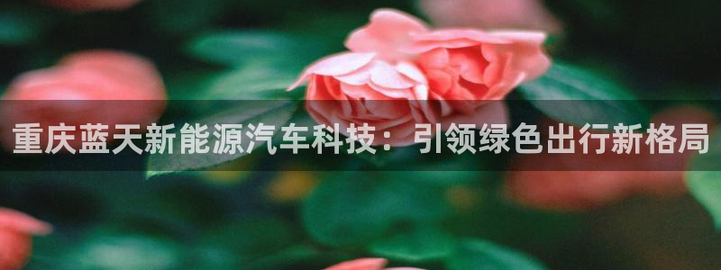 sunbet官网代理下载