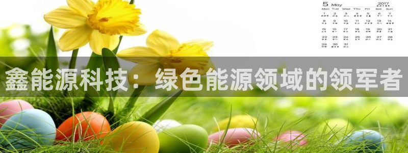 sunbet手机网页版本