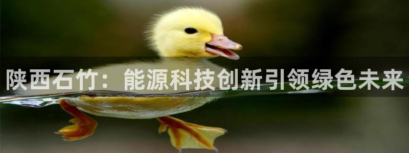 申博视讯