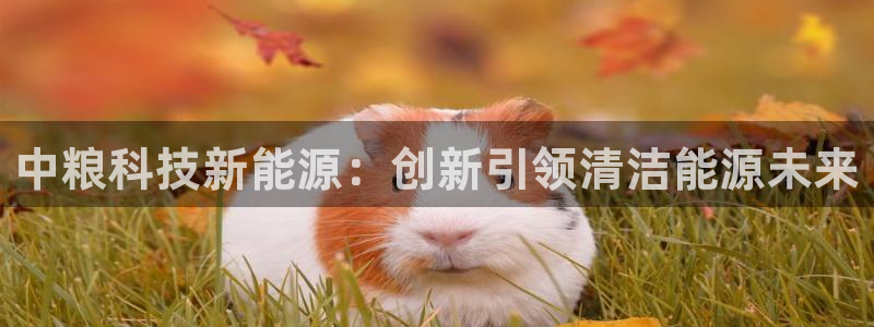 申博手机网站